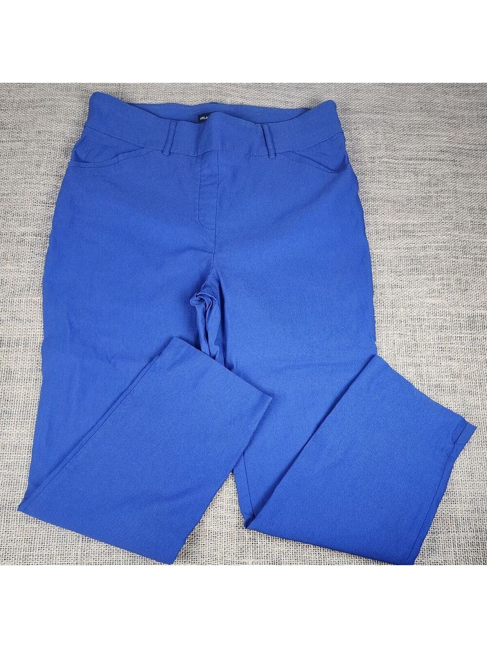 Hilary Radley Blue Rayon Nylon Blend Pants Size L/G